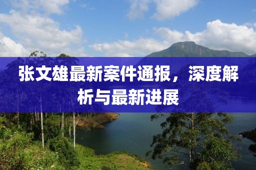 张文雄最新案件通报，深度解析与最新进展