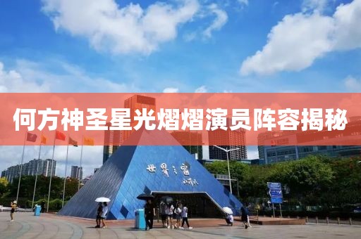 何方神圣星光熠熠演员阵容揭秘