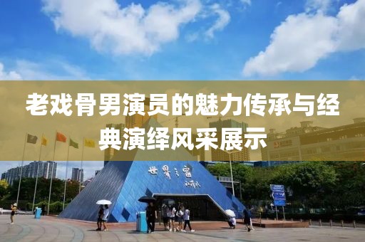 老戏骨男演员的魅力传承与经典演绎风采展示