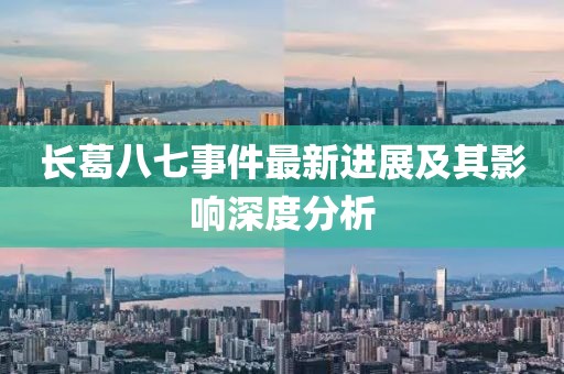 长葛八七事件最新进展及其影响深度分析