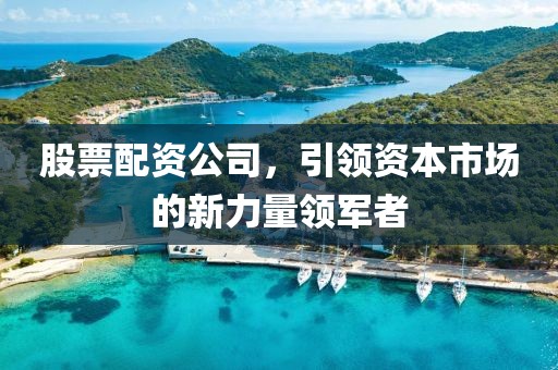 股票配资公司，引领资本市场的新力量领军者