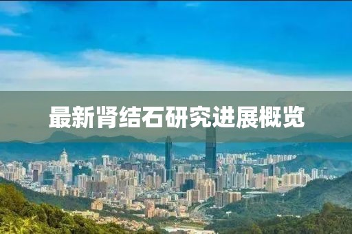 最新肾结石研究进展概览