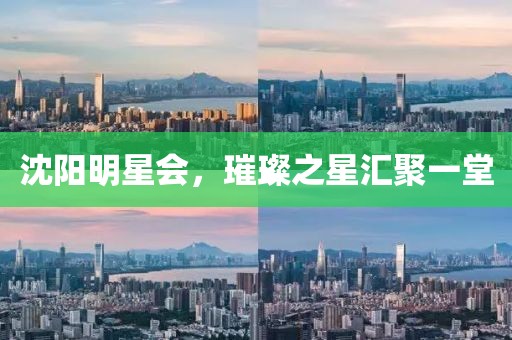 沈阳明星会，璀璨之星汇聚一堂