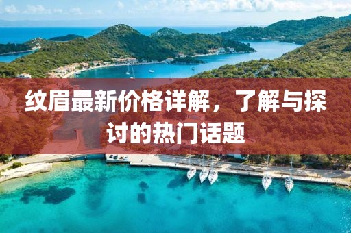 纹眉最新价格详解，了解与探讨的热门话题