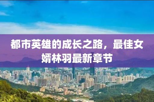都市英雄的成长之路，最佳女婿林羽最新章节