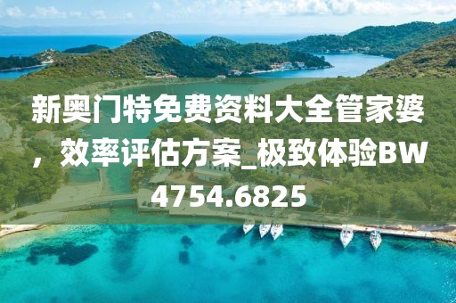 新奥门特免费资料大全管家婆，效率评估方案_极致体验BW4754.6825