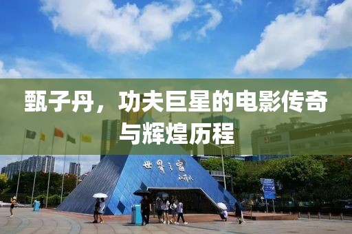 甄子丹，功夫巨星的电影传奇与辉煌历程