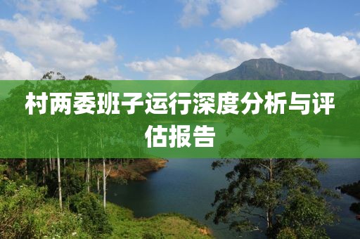 村两委班子运行深度分析与评估报告