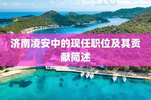 济南凌安中的现任职位及其贡献简述