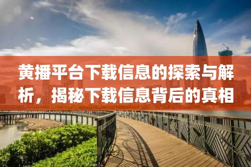 黄播平台下载信息的探索与解析，揭秘下载信息背后的真相