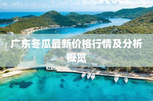 广东冬瓜最新价格行情及分析概览