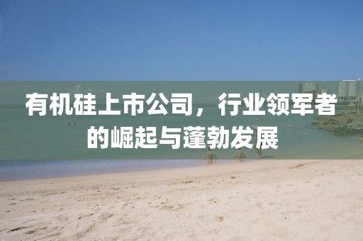 有机硅上市公司，行业领军者的崛起与蓬勃发展