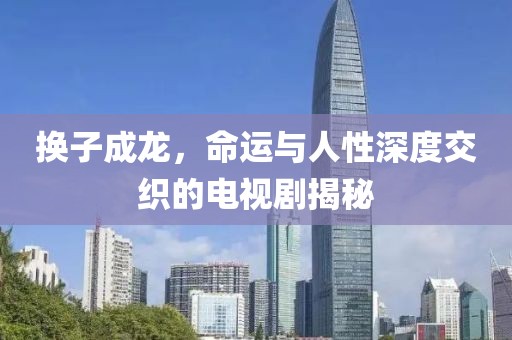 换子成龙，命运与人性深度交织的电视剧揭秘