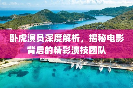 卧虎演员深度解析，揭秘电影背后的精彩演技团队