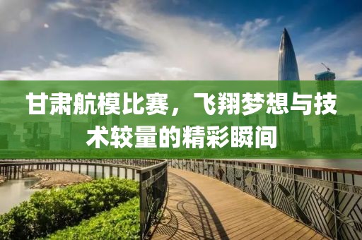 甘肃航模比赛，飞翔梦想与技术较量的精彩瞬间
