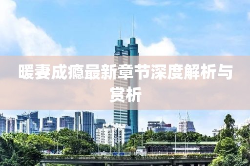 暖妻成瘾最新章节深度解析与赏析