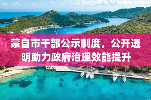 蒙自市干部公示制度，公开透明助力政府治理效能提升
