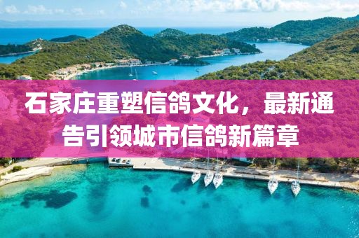 石家庄重塑信鸽文化，最新通告引领城市信鸽新篇章