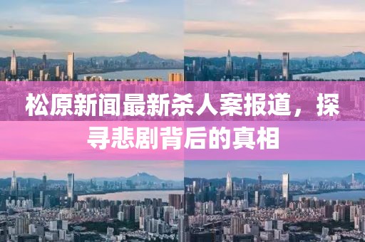松原新闻最新杀人案报道，探寻悲剧背后的真相