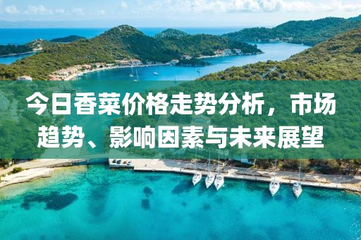 今日香菜价格走势分析，市场趋势、影响因素与未来展望