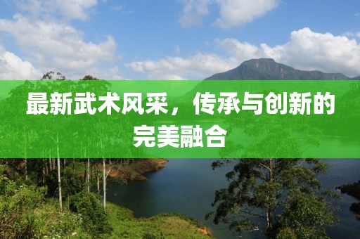 最新武术风采，传承与创新的完美融合