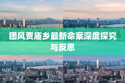 团风贾庙乡最新命案深度探究与反思