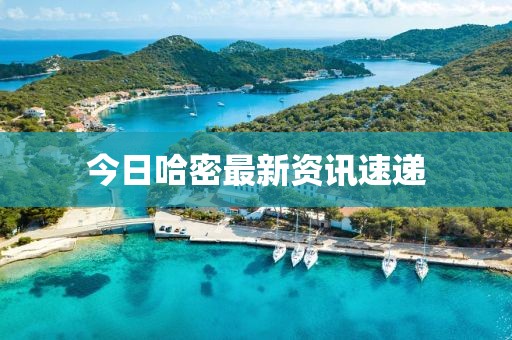 今日哈密最新资讯速递