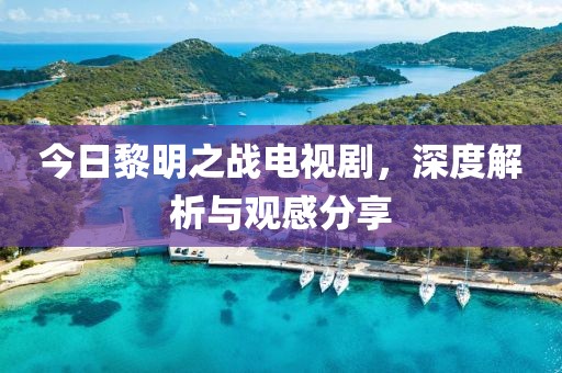 今日黎明之战电视剧，深度解析与观感分享