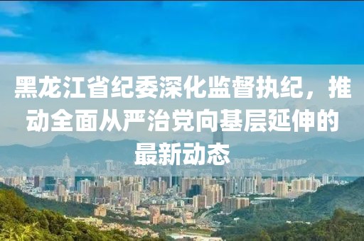 黑龙江省纪委深化监督执纪，推动全面从严治党向基层延伸的最新动态