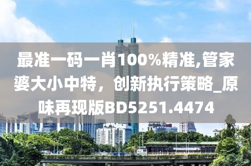 最准一码一肖100%精准,管家婆大小中特，创新执行策略_原味再现版BD5251.4474
