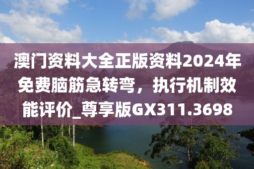 澳门资料大全正版资料2024年免费脑筋急转弯，执行机制效能评价_尊享版GX311.3698