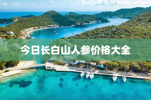 今日长白山人参价格大全