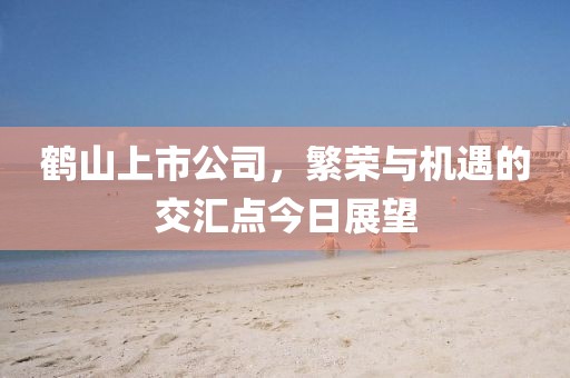 鹤山上市公司，繁荣与机遇的交汇点今日展望