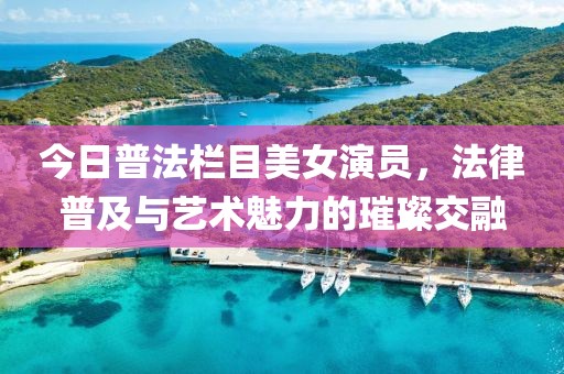 今日普法栏目美女演员，法律普及与艺术魅力的璀璨交融