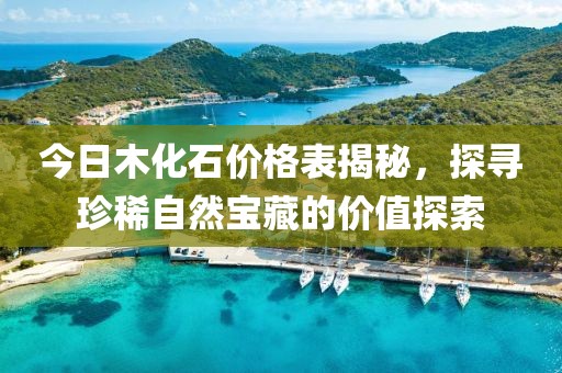 今日木化石价格表揭秘，探寻珍稀自然宝藏的价值探索