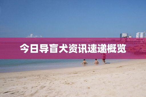 今日导盲犬资讯速递概览