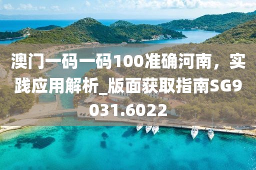 澳门一码一码100准确河南，实践应用解析_版面获取指南SG9031.6022
