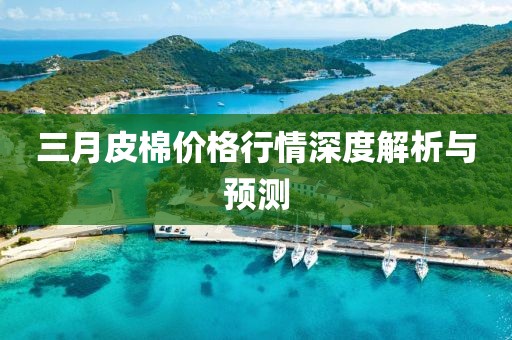 三月皮棉价格行情深度解析与预测