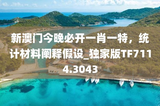 新澳门今晚必开一肖一特，统计材料阐释假设_独家版TF7114.3043