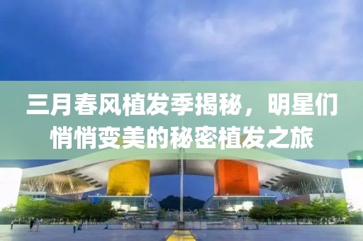 银冬纯色 第4页