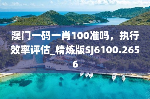 澳门一码一肖100准吗，执行效率评估_精炼版SJ6100.2656