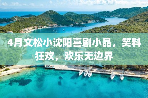 4月文松小沈阳喜剧小品，笑料狂欢，欢乐无边界