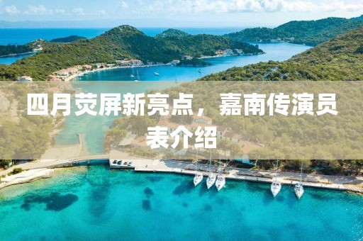 四月荧屏新亮点，嘉南传演员表介绍