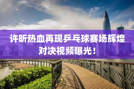 许昕热血再现乒乓球赛场辉煌对决视频曝光！