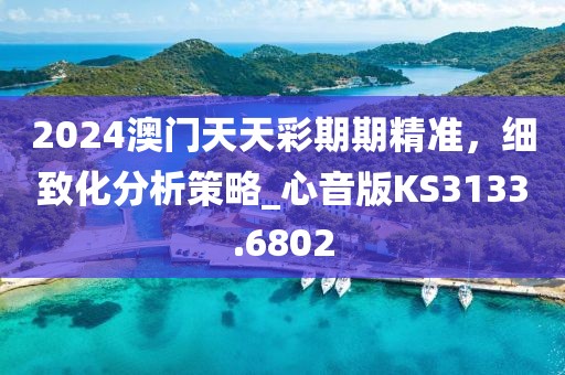 2024澳门天天彩期期精准，细致化分析策略_心音版KS3133.6802