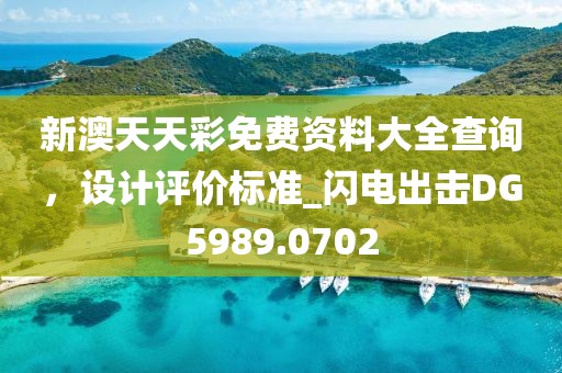 新澳天天彩免费资料大全查询，设计评价标准_闪电出击DG5989.0702