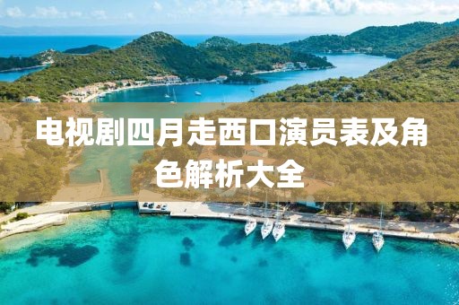 电视剧四月走西口演员表及角色解析大全