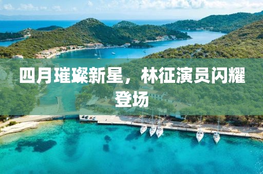 四月璀璨新星，林征演员闪耀登场