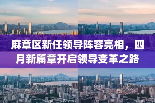 麻章区新任领导阵容亮相，四月新篇章开启领导变革之路