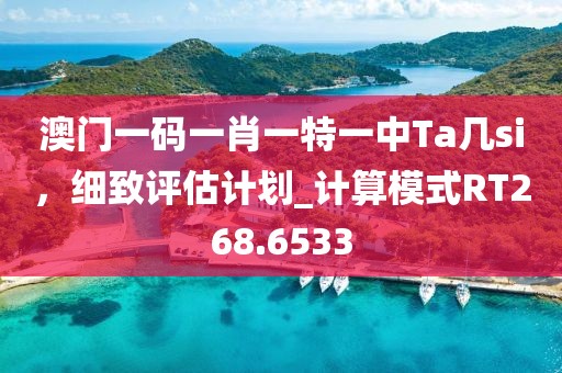 澳门一码一肖一特一中Ta几si，细致评估计划_计算模式RT268.6533